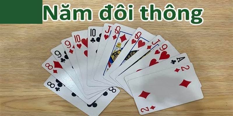 Giải thích 5 đôi thông chặt được gì cho người mới