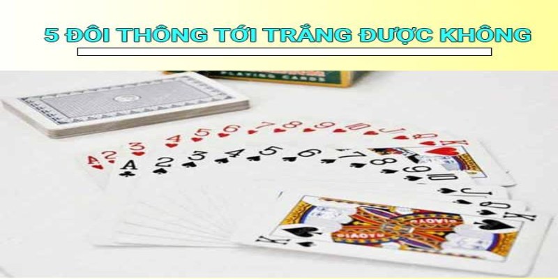 Hỏi đáp về 5 đôi thông chặt được gì